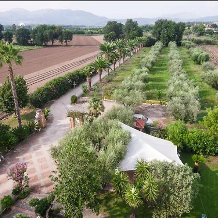 Villa Rosa Lifestyle B&B Sessa Aurunca Exterior foto